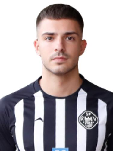 Aleksandar Milenovic