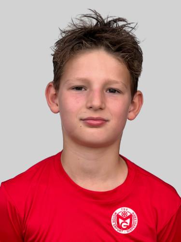 Theo Hommeyer