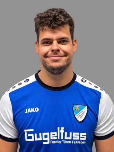 Dominik Högg