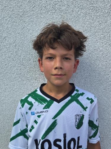 Anno Widukin Denß
