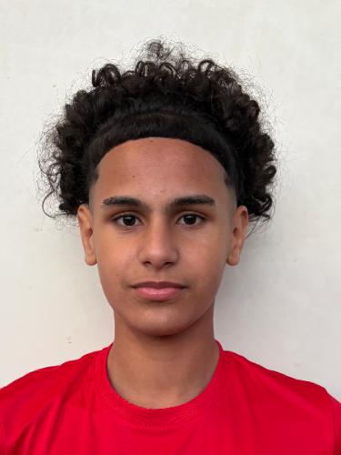 Amir Taha