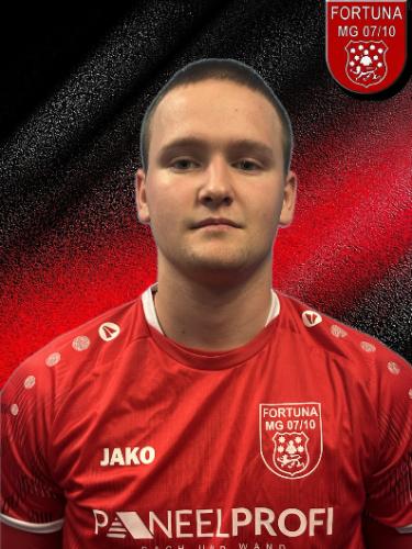 Ion Lozovenu