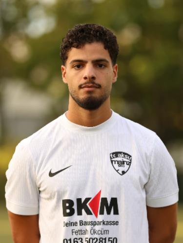 Ayman Koubaa