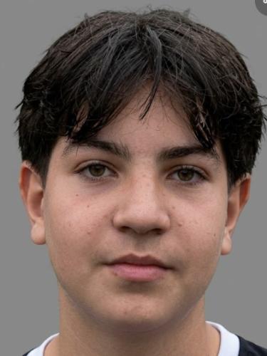 Almin Rebronja