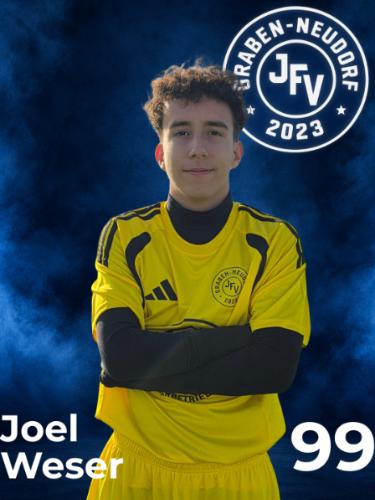 Joel Weser