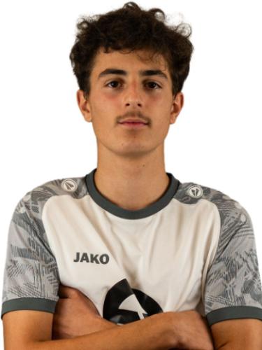 Nikola Sevrt