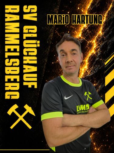 Mario Hartung