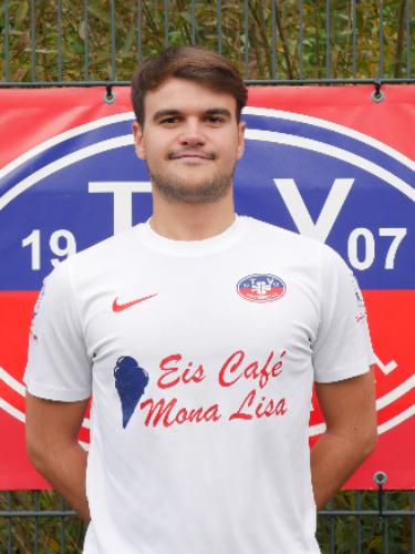 Teodor Stefan Enache