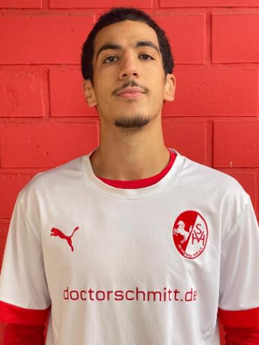 Tarek Mellassi